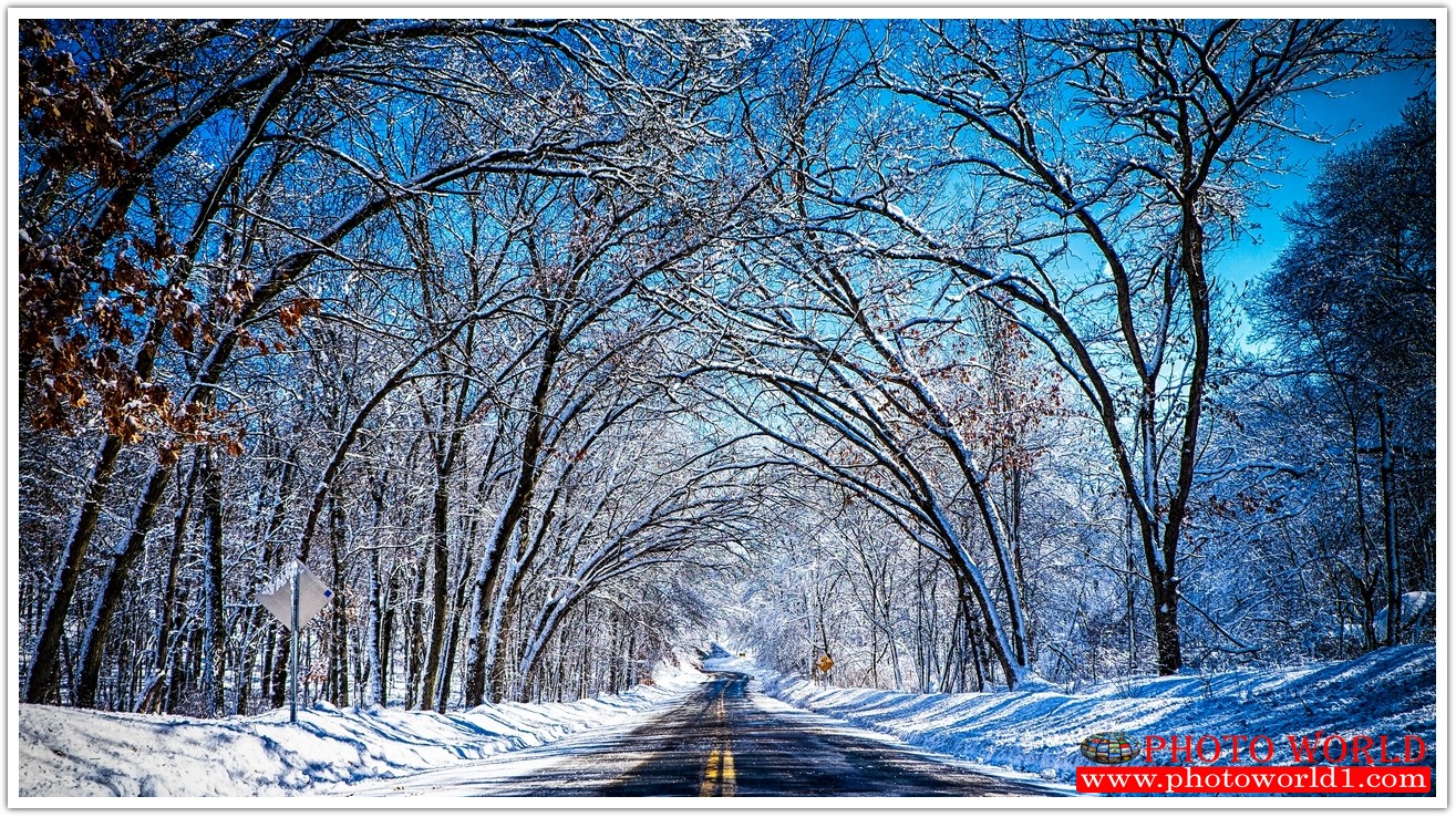 NATURAL วอลเปเปอร์รูปภาพติดผนังสั่งทำ มีภาพให้เลือกกว่า 50,000 ภาพ ออกแบบกราฟฟิค หรือ รูปภาพตามที่ท่านกำหนด ในสไตล์ท่านเอง "custom made"