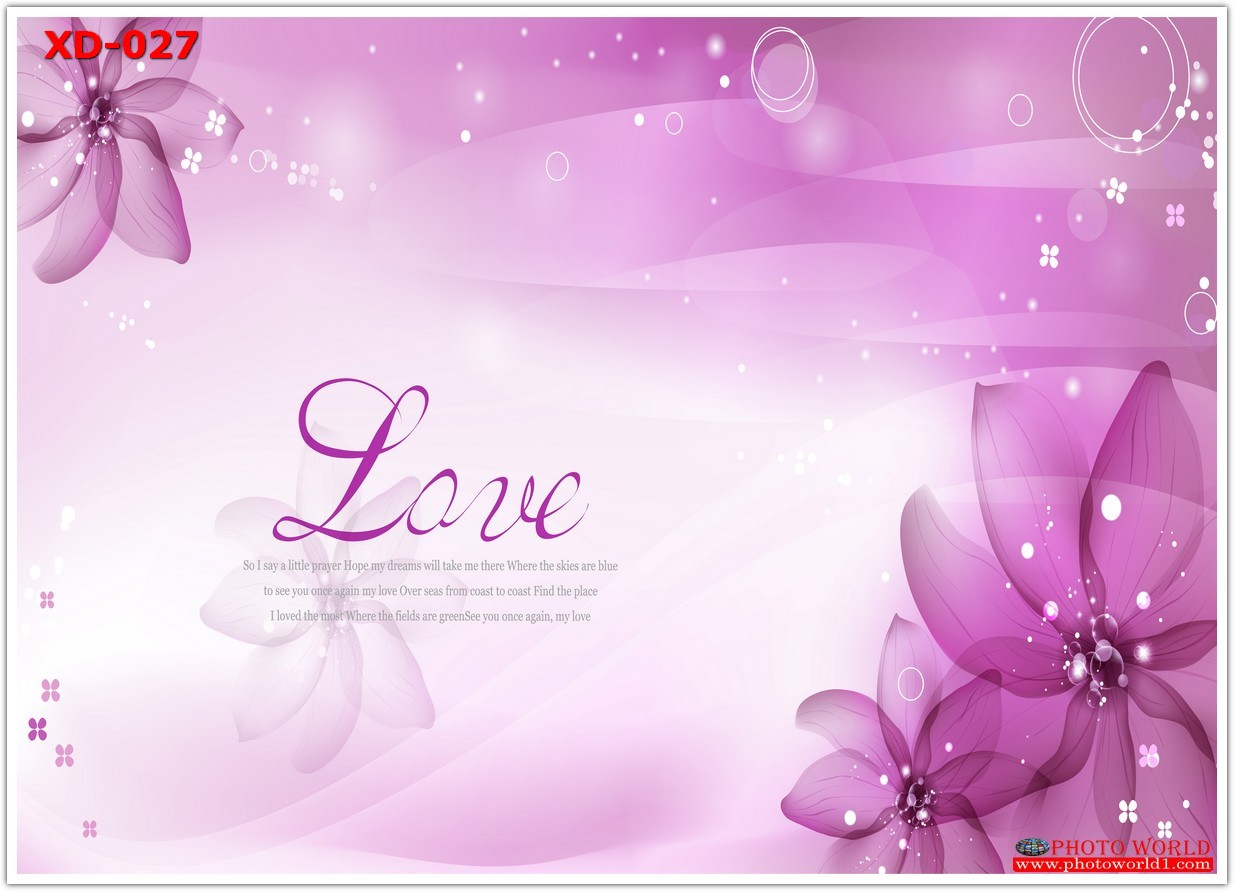 วอลเปเปอร์รูปภาพติดผนังสั่งทำ มีภาพให้เลือกกว่า 50,000 ภาพ ออกแบบกราฟฟิค หรือ รูปภาพตามที่ท่านกำหนด ในสไตล์ท่านเอง "custom made"