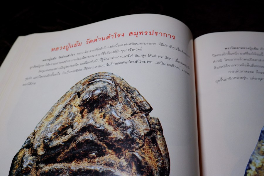 พระปิดตาเนื้อผงยอดนิยม โดย คเณศ์พร ปี 2547 หนา 96 หน้า