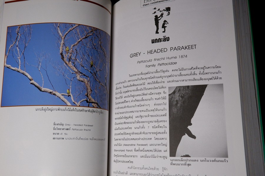 ชีวิตนก จากบันทึก เเละความทรงจำ เล่ม 1 โดย สุธี ศุภรัฐวิกร