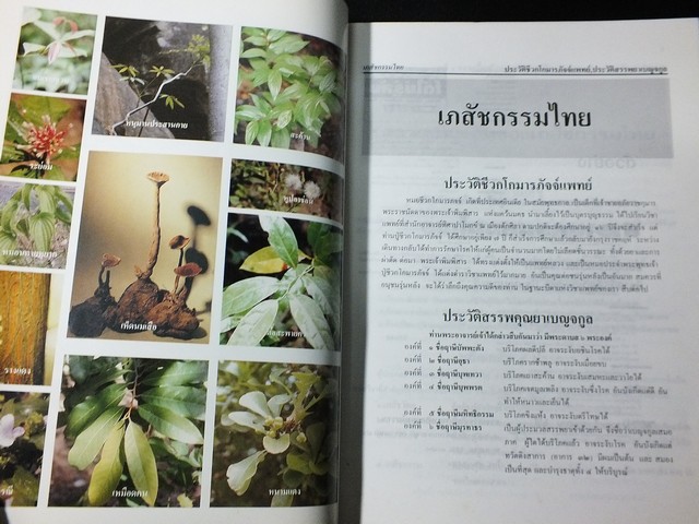 เภสัชกรรมไทย รวมสมุนไพร โดย วุฒิ วุฒิธรรมเวช ปี 2537