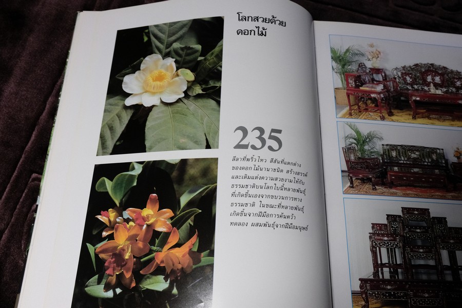 COLLECTION & HOUSE ฉบับพิเศษ BEAUTYFUL HOUSE AND GARDEN ปกเเข็ง ปี 2535