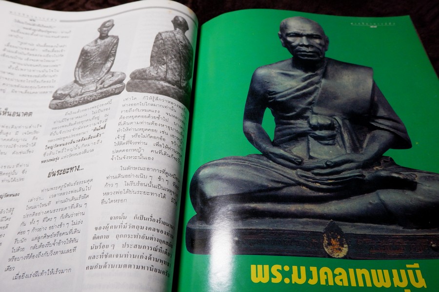 9 พระอาจารย์เสือ โดย สุริยัน ศักดิ์ไธสง (สุดยอด เครื่องรางของขลังขมังเวทย์ 9 เกจิอาจารย์ดัง)