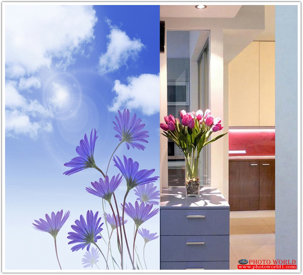 วอลเปเปอร์รูปภาพติดผนังสั่งทำ มีภาพให้เลือกกว่า 50,000 ภาพ ออกแบบกราฟฟิค หรือ รูปภาพตามที่ท่านกำหนด ในสไตล์ท่านเอง "custom made"