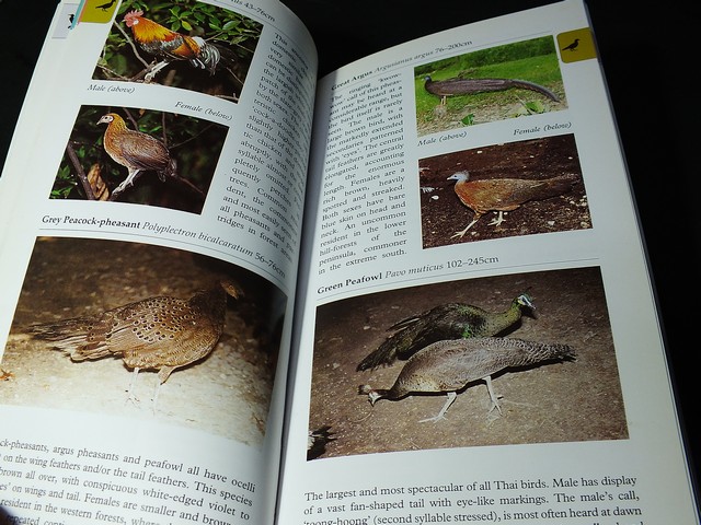 A Photographic Guide to BIRDS of Thailand by Michael Webster and Chew Yen Fook