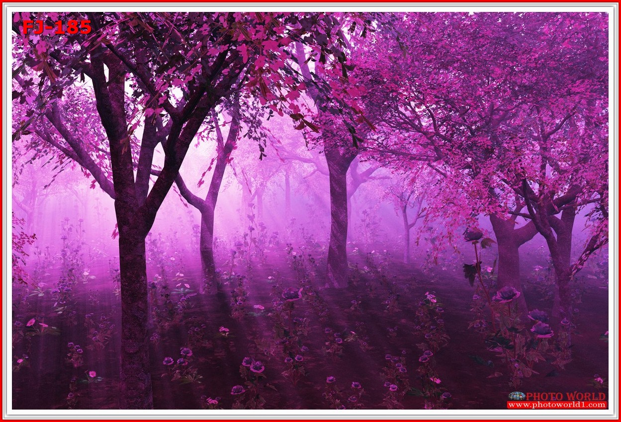 วอลเปเปอร์รูปภาพติดผนังสั่งทำ มีภาพให้เลือกกว่า 50,000 ภาพ ออกแบบกราฟฟิค หรือ รูปภาพตามที่ท่านกำหนด ในสไตล์ท่านเอง "custom made"