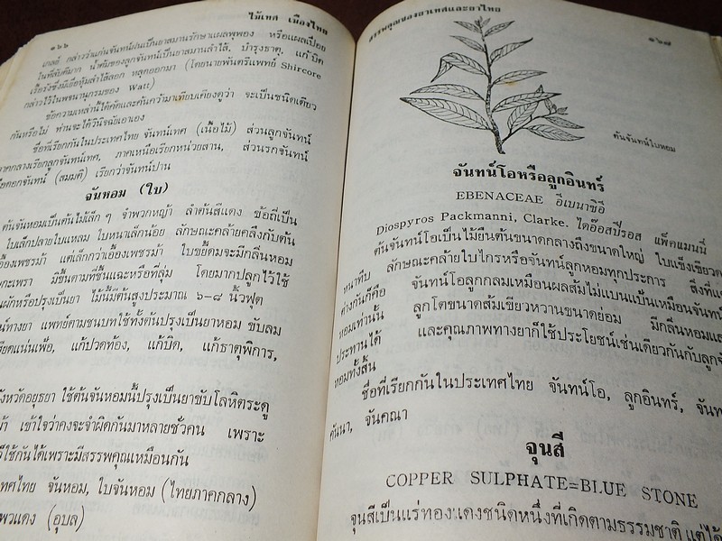 ไม้เทศเมืองไทย สรรพคุณยาเทศเเละยาไทย โดย หมอเสงี่ยม พงษ์บุญรอด ปกแข็ง 652 หน้า ปี 2522