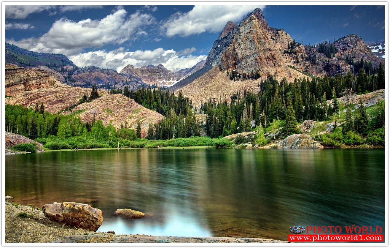 NATURAL วอลเปเปอร์รูปภาพติดผนังสั่งทำ มีภาพให้เลือกกว่า 50,000 ภาพ ออกแบบกราฟฟิค หรือ รูปภาพตามที่ท่านกำหนด ในสไตล์ท่านเอง "custom made"