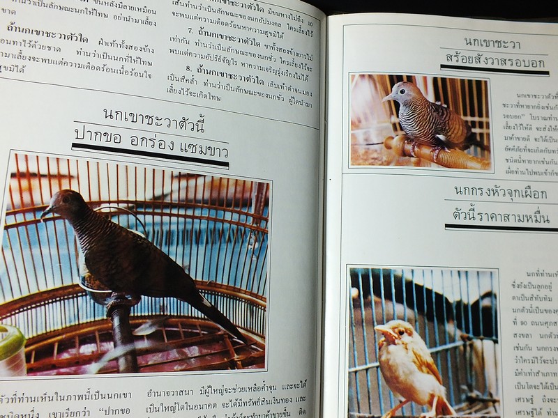 สุดยอดของอาถรรพณ์ โดย กวี พรหมจินดา ปกแข็ง ปี 2524(Pre-Order สอบถาม)