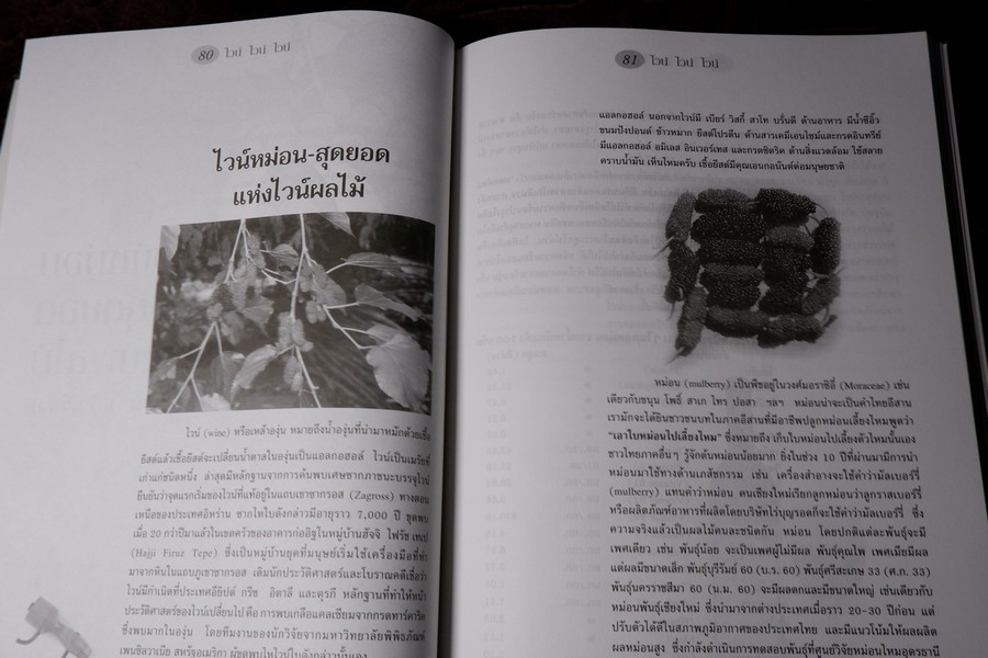 ไวน์ ไวน์ ไวน์ หนังสือสำหรับผู้ผลิตไวน์มือใหม่ โดย ชัยรัตน์ โมไนยพงศ์ (มีตำหนิ)