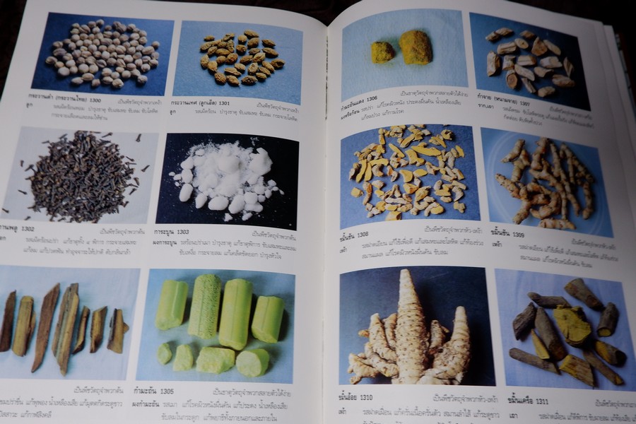 สารานุกรมเครื่องยาไทย 1 โดย วุฒิ วุฒิธรรมเวช ปกแข็ง ปี 2543