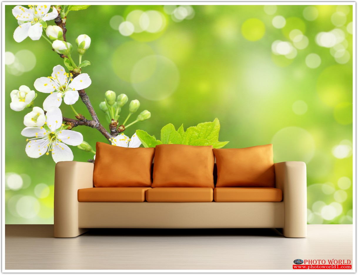 วอลเปเปอร์รูปภาพติดผนังสั่งทำ มีภาพให้เลือกกว่า 50,000 ภาพ ออกแบบกราฟฟิค หรือ รูปภาพตามที่ท่านกำหนด ในสไตล์ท่านเอง "custom made"