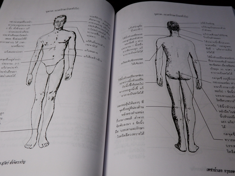 เพชรน้ำเอก กรุยอดตำรับยาสมุนไพร หลักการรักษาโรคตามแบบแผนพื้นบ้าน ครบทุกรูปแบบ ทุกแขนง