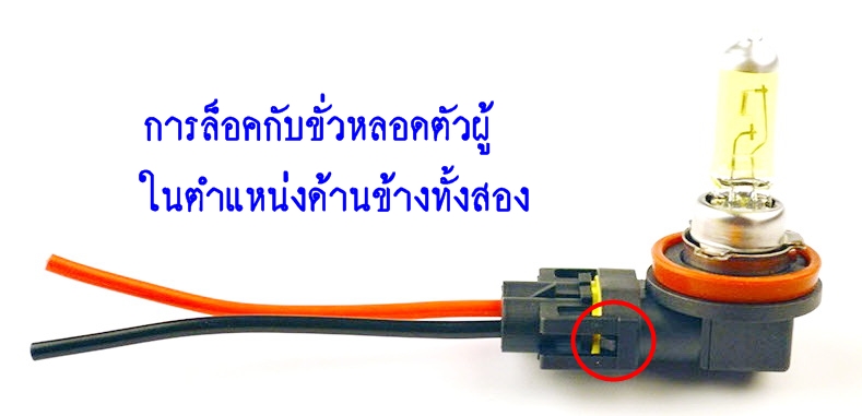 H11 H8 มีสาย (2 ชุด)