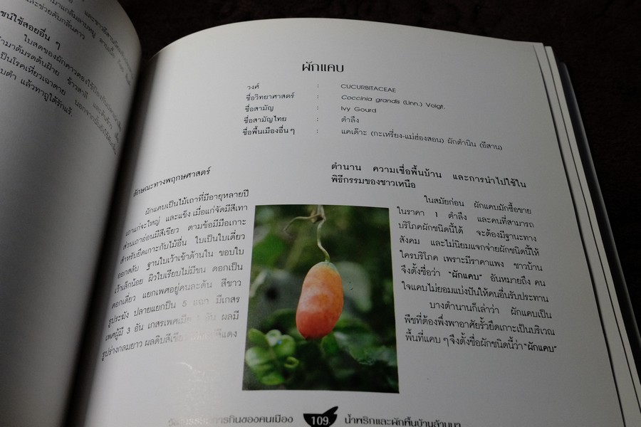 วัฒนธรรมการกินของคนพื้นเมือง น้ำพริกเเละผักพื้นบ้านล้านนา พิมพ์ปี 2543