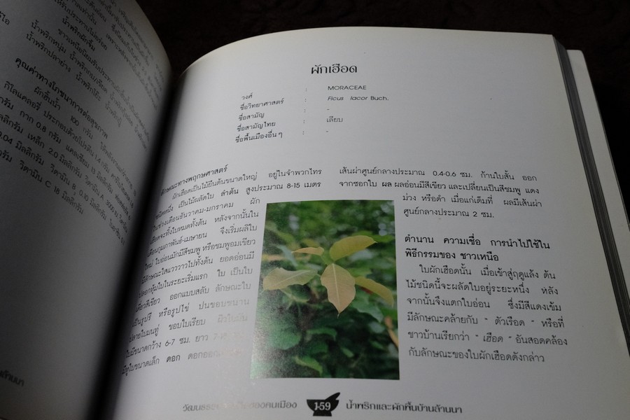 วัฒนธรรมการกินของคนพื้นเมือง น้ำพริกเเละผักพื้นบ้านล้านนา พิมพ์ปี 2543