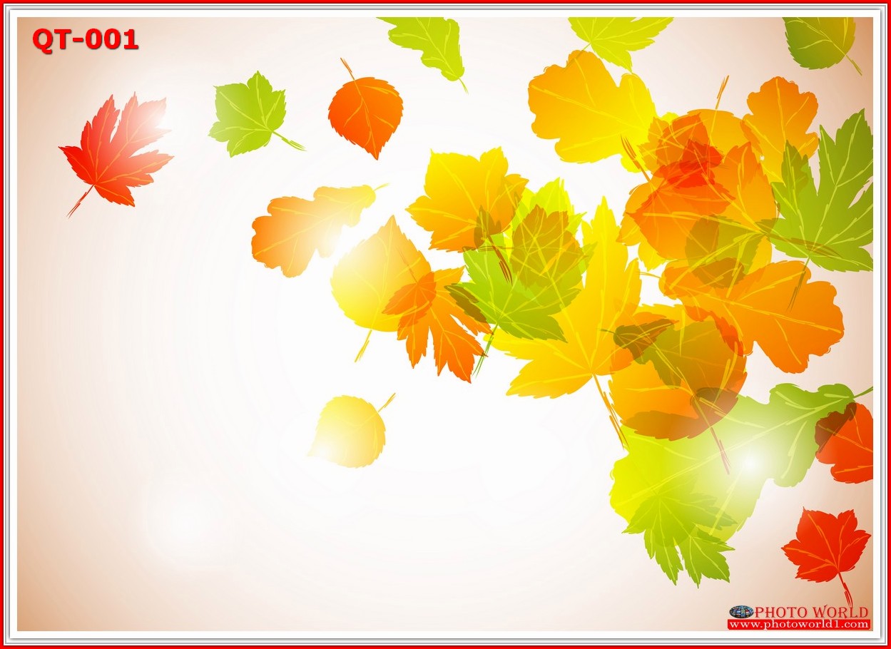 วอลเปเปอร์รูปภาพติดผนังสั่งทำ มีภาพให้เลือกกว่า 50,000 ภาพ ออกแบบกราฟฟิค หรือ รูปภาพตามที่ท่านกำหนด ในสไตล์ท่านเอง "custom made"