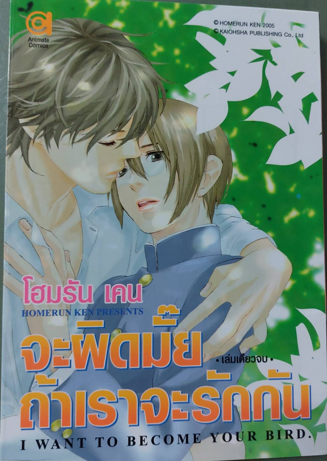 การ์ตูนวายปี2010...เรื่อง จะผิดมั๊ย ถ้าเราจะรักกัน โดย โฮมรัน เคน