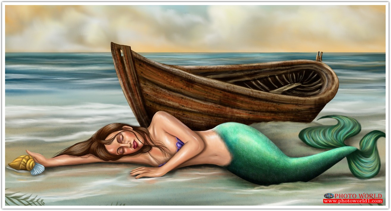 วอลเปเปอร์รูปภาพติดผนังสั่งทำ มีภาพให้เลือกกว่า 50,000 ภาพ ออกแบบกราฟฟิค หรือ รูปภาพตามที่ท่านกำหนด ในสไตล์ท่านเอง "custom made"