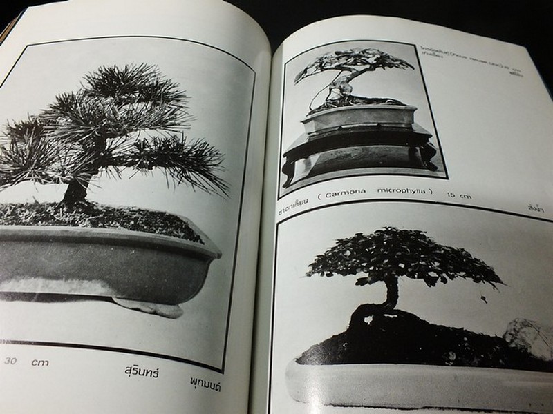 บอนไซ 01 02 03 รวม 3 เล่ม โดยชมรมบอนไซ(ไม้เเคระ) เเห่งประเทศไทย //สอบถาม//