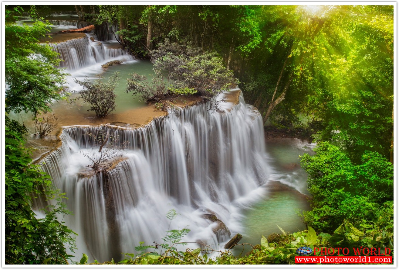 NATURAL วอลเปเปอร์รูปภาพติดผนังสั่งทำ มีภาพให้เลือกกว่า 50,000 ภาพ ออกแบบกราฟฟิค หรือ รูปภาพตามที่ท่านกำหนด ในสไตล์ท่านเอง "custom made"