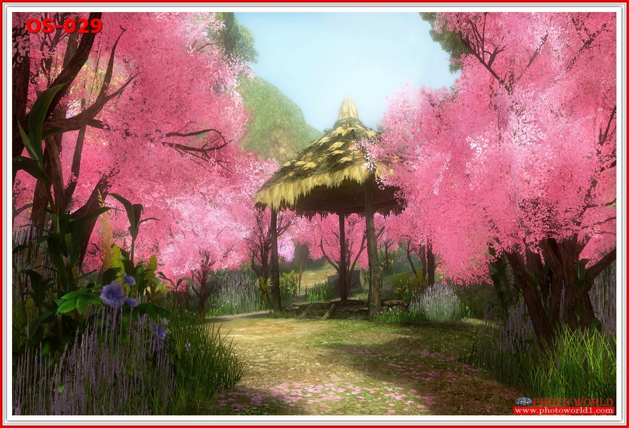 วอลเปเปอร์รูปภาพติดผนังสั่งทำ มีภาพให้เลือกกว่า 50,000 ภาพ ออกแบบกราฟฟิค หรือ รูปภาพตามที่ท่านกำหนด ในสไตล์ท่านเอง "custom made"