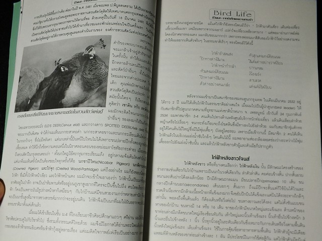 ชีวิตนก bird Life จากบันทึก เเละความทรงจำ โดย สุธี ศุภรัฐวิกร เล่ม 1,2,3 รวม 3 เล่ม ปี 2539-40