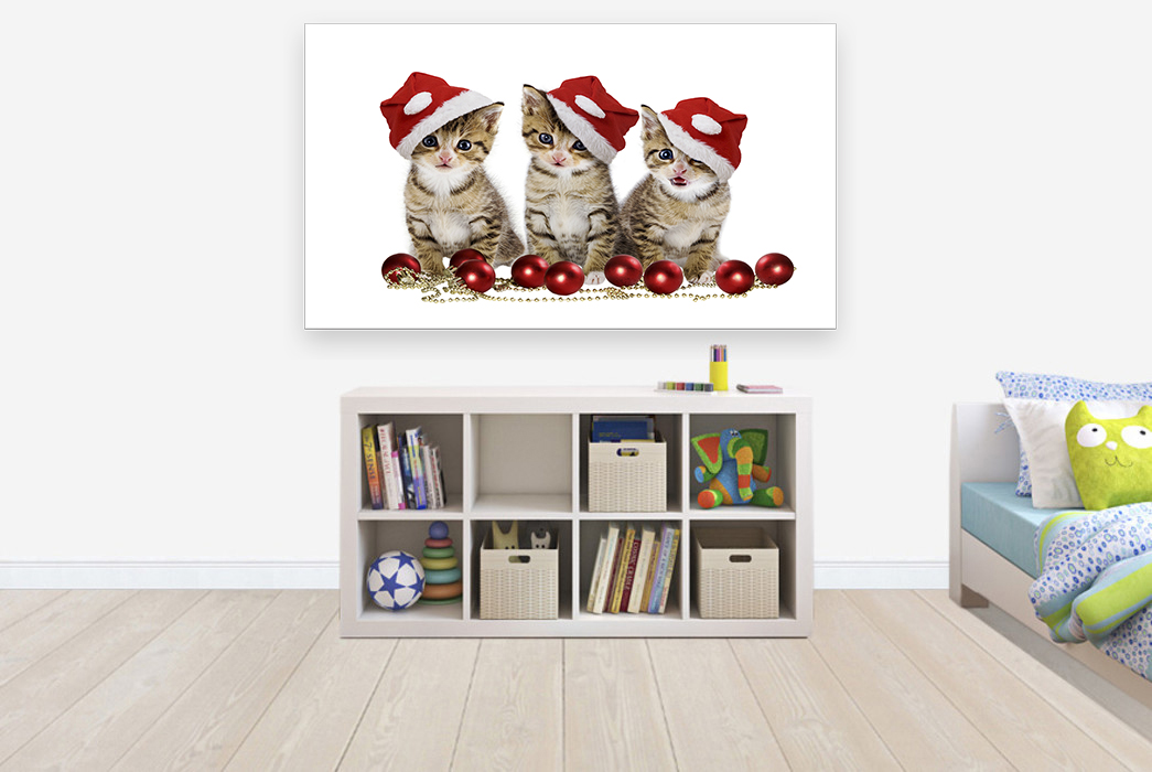 สั่งทำวอลเปเปอร์ รูปภาพติดผนัง มีภาพให้เลือกกว่า 50,000 ภาพ ออกแบบกราฟฟิค หรือ รูปภาพตามที่ท่านกำหนด ในสไตล์ท่านเอง "custom made" SIZE;M 1SET,KITTY.2