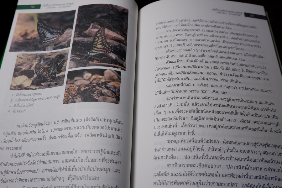 ผีเสื้อ บนเส้นทางสายธรรมชาติ โดย เกรียงไกร สุวรรณภักดิ์