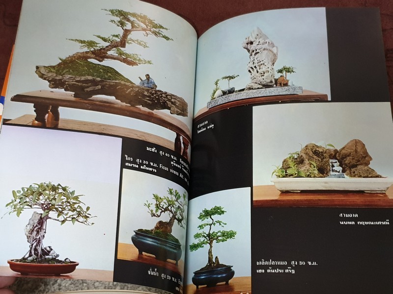 บอนไซ 01 02 03 รวม 3 เล่ม โดยชมรมบอนไซ(ไม้เเคระ) เเห่งประเทศไทย //สอบถาม//