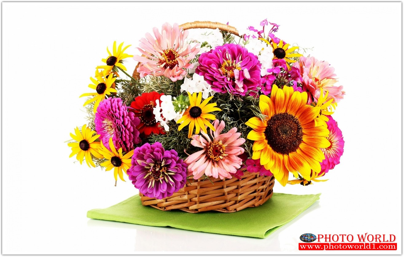 วอลเปเปอร์รูปภาพติดผนังสั่งทำ มีภาพให้เลือกกว่า 50,000 ภาพ ออกแบบกราฟฟิค หรือ รูปภาพตามที่ท่านกำหนด ในสไตล์ท่านเอง "custom made"