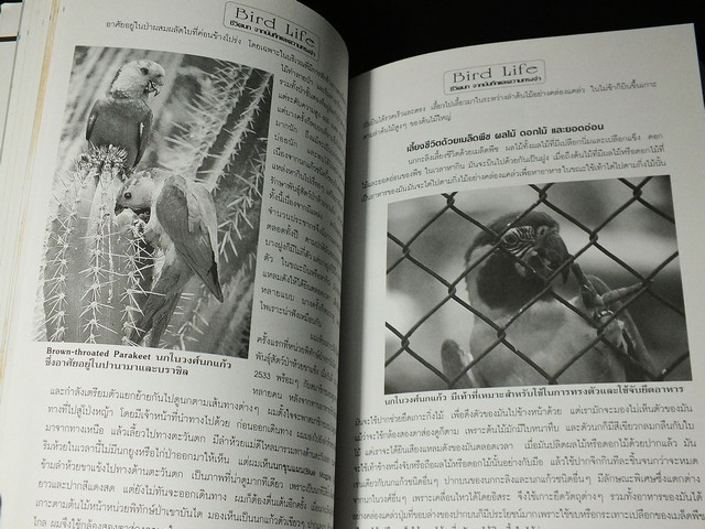 ชีวิตนก bird Life จากบันทึก เเละความทรงจำ โดย สุธี ศุภรัฐวิกร เล่ม 1,2,3 รวม 3 เล่ม ปี 2539-40
