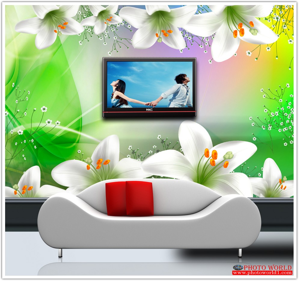 วอลเปเปอร์รูปภาพติดผนังสั่งทำ มีภาพให้เลือกกว่า 50,000 ภาพ ออกแบบกราฟฟิค หรือ รูปภาพตามที่ท่านกำหนด ในสไตล์ท่านเอง "custom made"