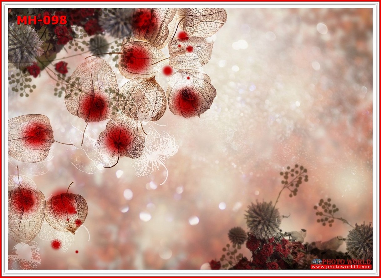 วอลเปเปอร์รูปภาพติดผนังสั่งทำ มีภาพให้เลือกกว่า 50,000 ภาพ ออกแบบกราฟฟิค หรือ รูปภาพตามที่ท่านกำหนด ในสไตล์ท่านเอง "custom made"