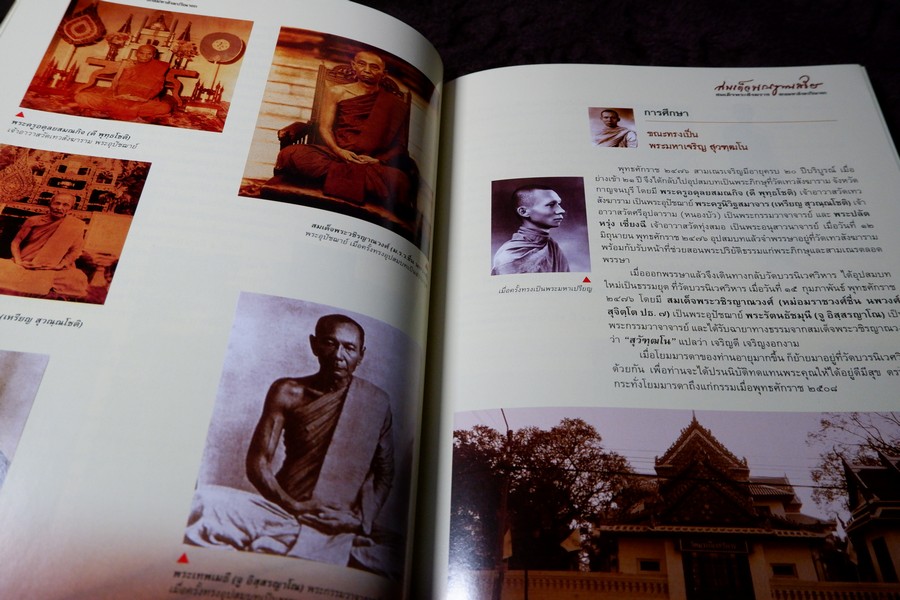 สมเด็จพระญาณสังวร สมเด็จพระสังฆราช สกลมหาสังฆปรินายก โดย ทศพล จังพานิชย์กุล ปี 2552