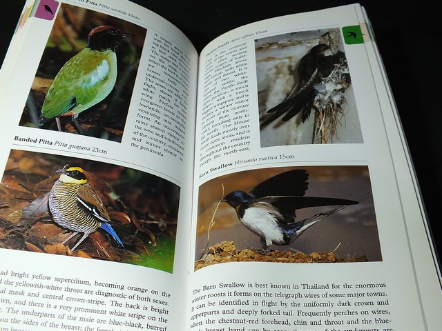 A Photographic Guide to BIRDS of Thailand by Michael Webster and Chew Yen Fook