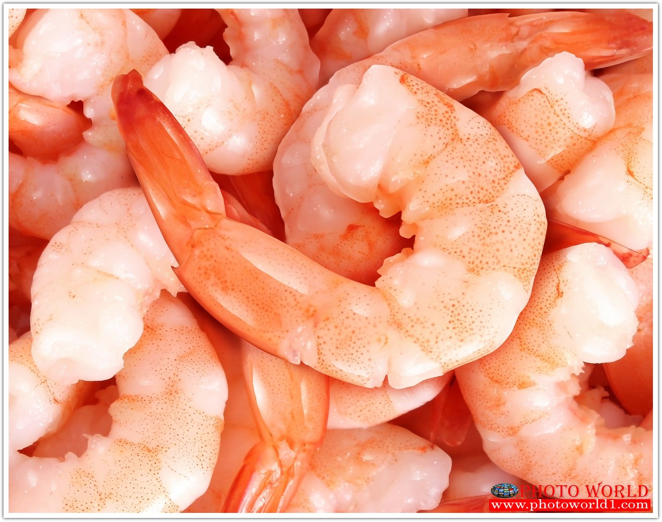 วอลเปเปอร์รูปภาพติดผนังสั่งทำ มีภาพให้เลือกกว่า 50,000 ภาพ ออกแบบกราฟฟิค หรือ รูปภาพตามที่ท่านกำหนด ในสไตล์ท่านเอง "custom made"