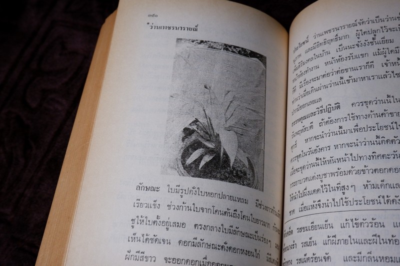 ตำรายาไทย-จีน (ยากลางบ้าน ยาสมุนไพร ยาเเผนโบราณ) โดย ร.ศ.พัฒน์ สุจำนงค์ ปี 2528