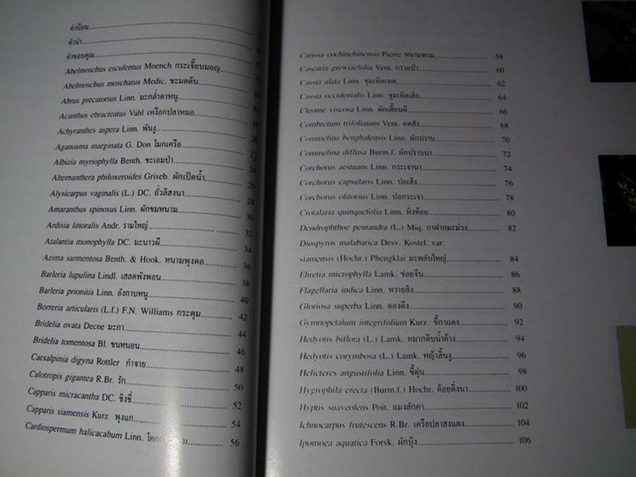 พืชสมุนไพรในประเทศไทย โดย กรมวิทยาศาสตร์การเเพทย์ หนา 219 หน้า ปี 2540