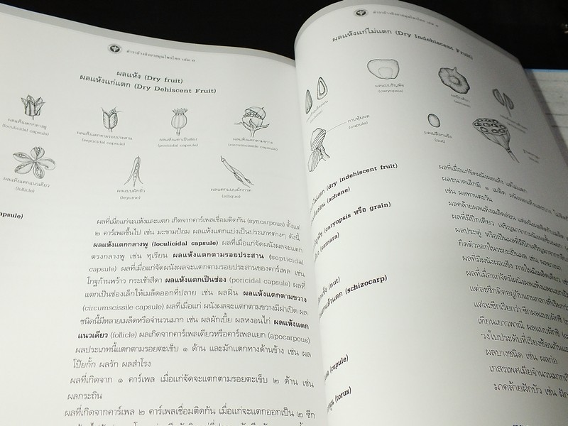 ตำราอ้างอิงยาสมุนไพรไทย เล่ม 3 เฉลิมพระเกียรติสมเด็จพระนางเจ้าสิริกิติ์ พระบรมราชินีนาถ พระชนมพรรษาครบ 7 รอบ ปกแข็ง