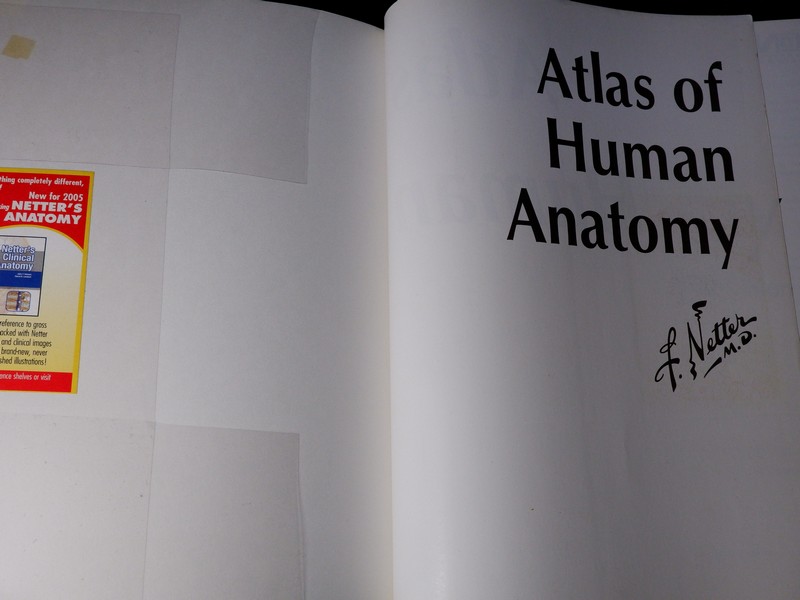 Atlas of Human Anatomyของ Frank H. Netter, MD