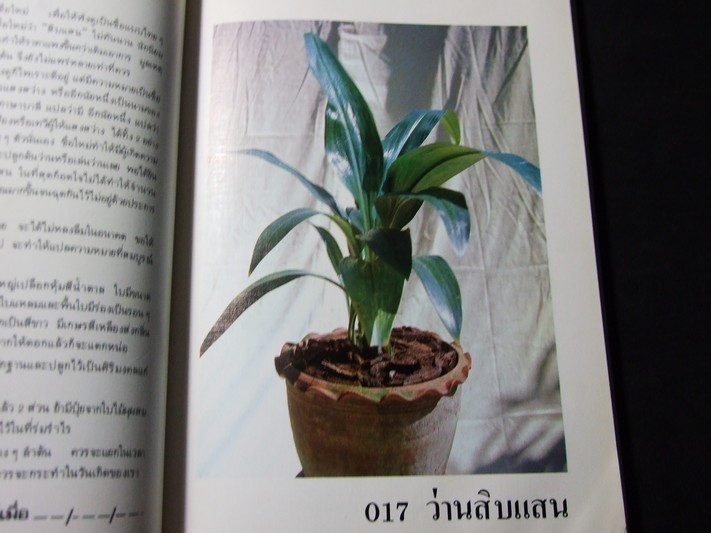 คัมภีร์ว่าน และไม้มงคล โดย สนั่น ทวีสมบัติ ปกแข็ง 212 หน้า พิมพ์ปี 2524