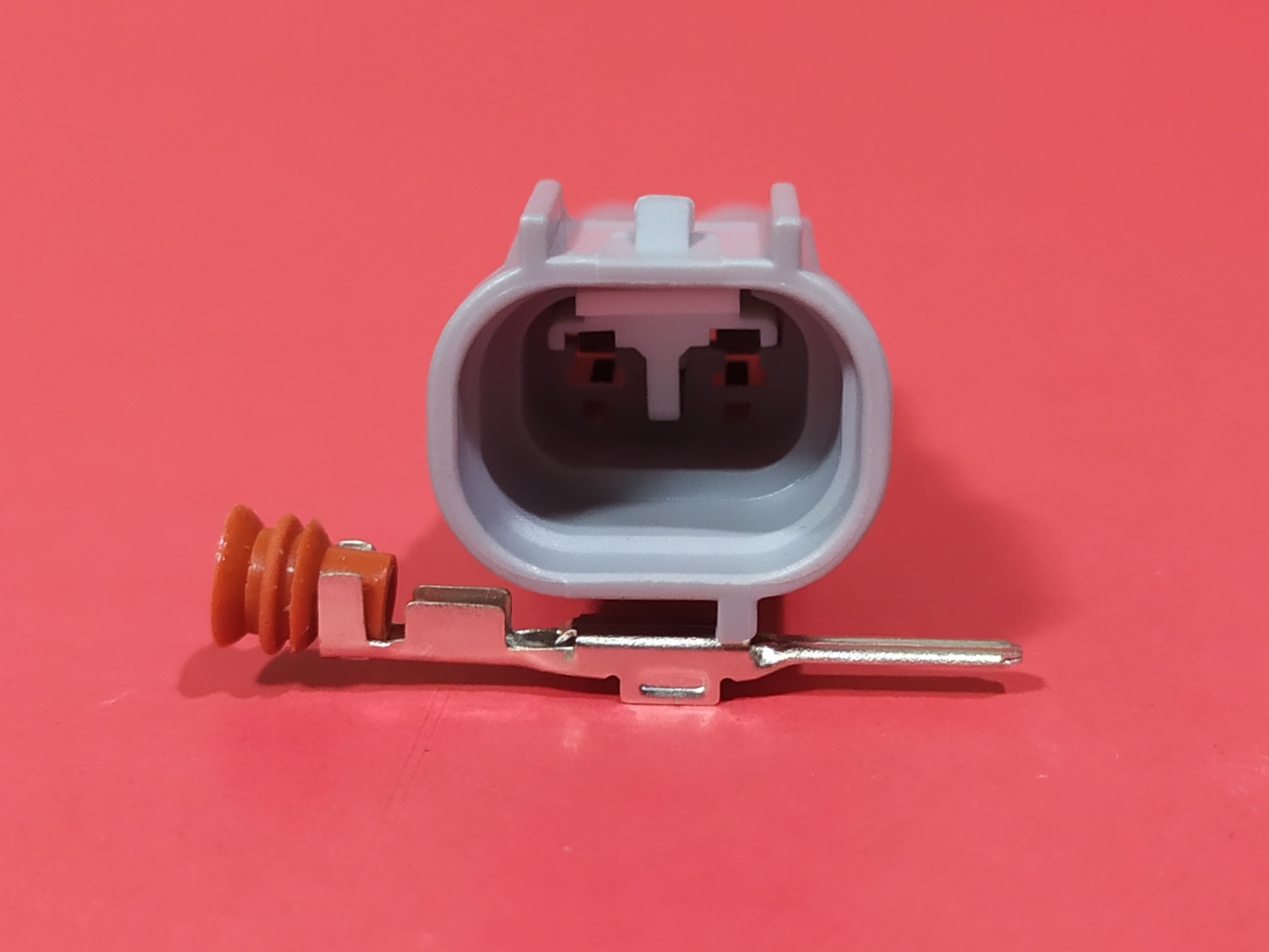 2 พิน เทา ตัวผู้ #0031