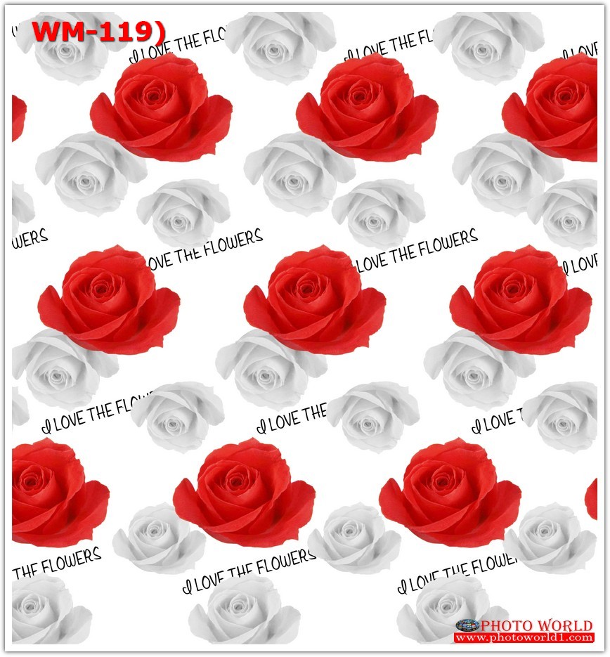 วอลเปเปอร์รูปภาพติดผนังสั่งทำ มีภาพให้เลือกกว่า 50,000 ภาพ ออกแบบกราฟฟิค หรือ รูปภาพตามที่ท่านกำหนด ในสไตล์ท่านเอง "custom made"