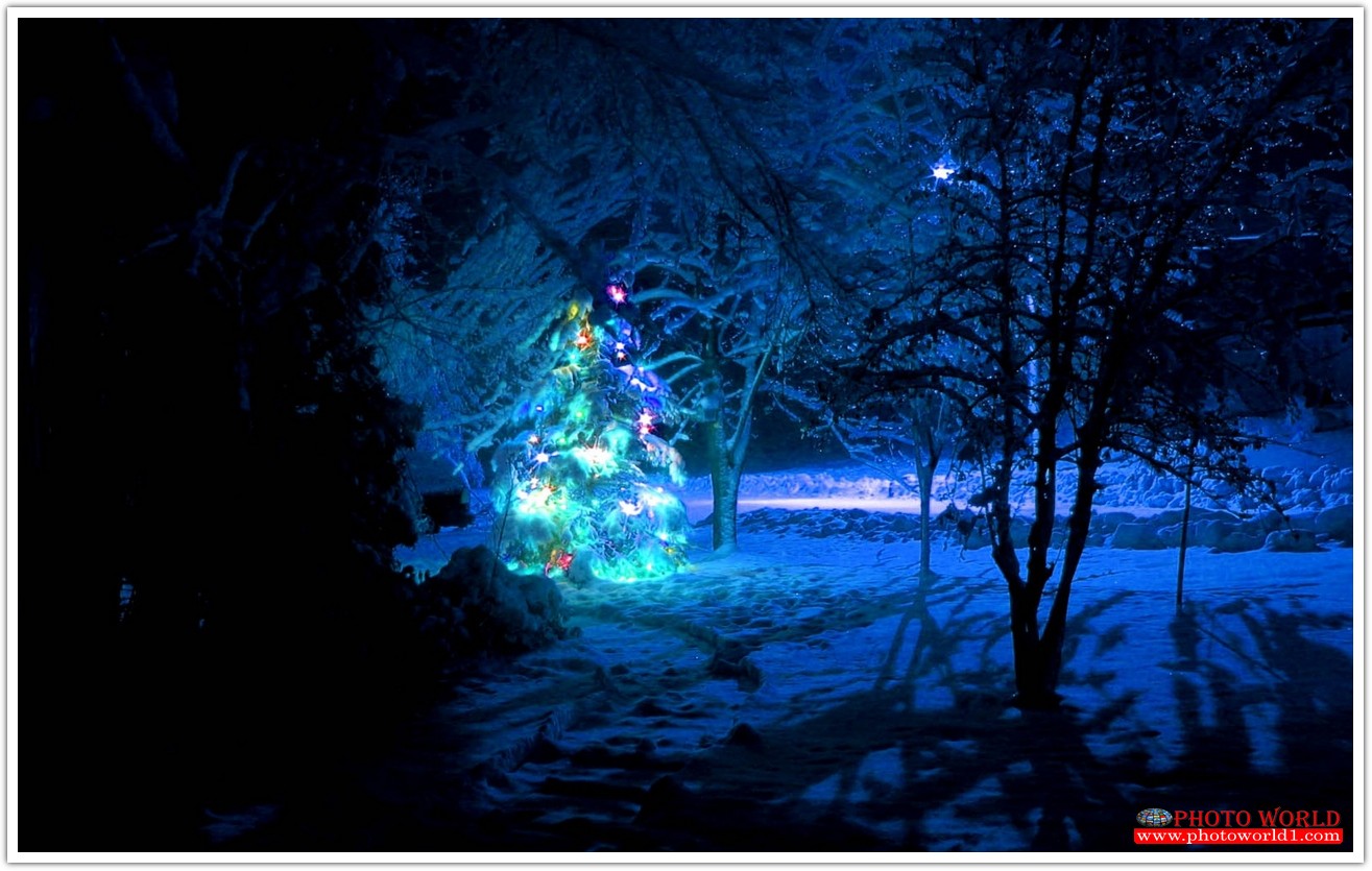 วอลเปเปอร์รูปภาพติดผนังสั่งทำ มีภาพให้เลือกกว่า 50,000 ภาพ ออกแบบกราฟฟิค หรือ รูปภาพตามที่ท่านกำหนด ในสไตล์ท่านเอง "custom made"