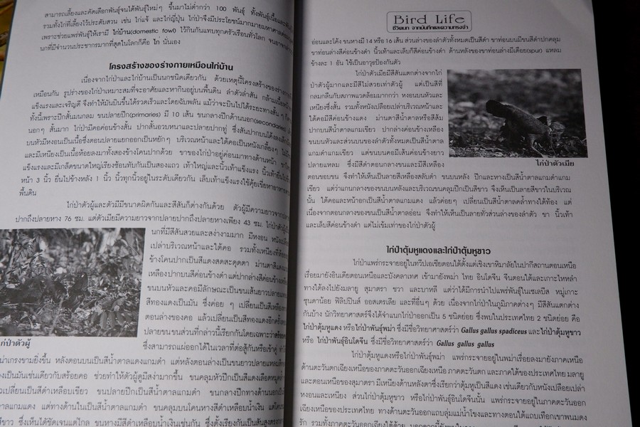 ชีวิตนก จากบันทึก เเละความทรงจำ เล่ม 1 โดย สุธี ศุภรัฐวิกร