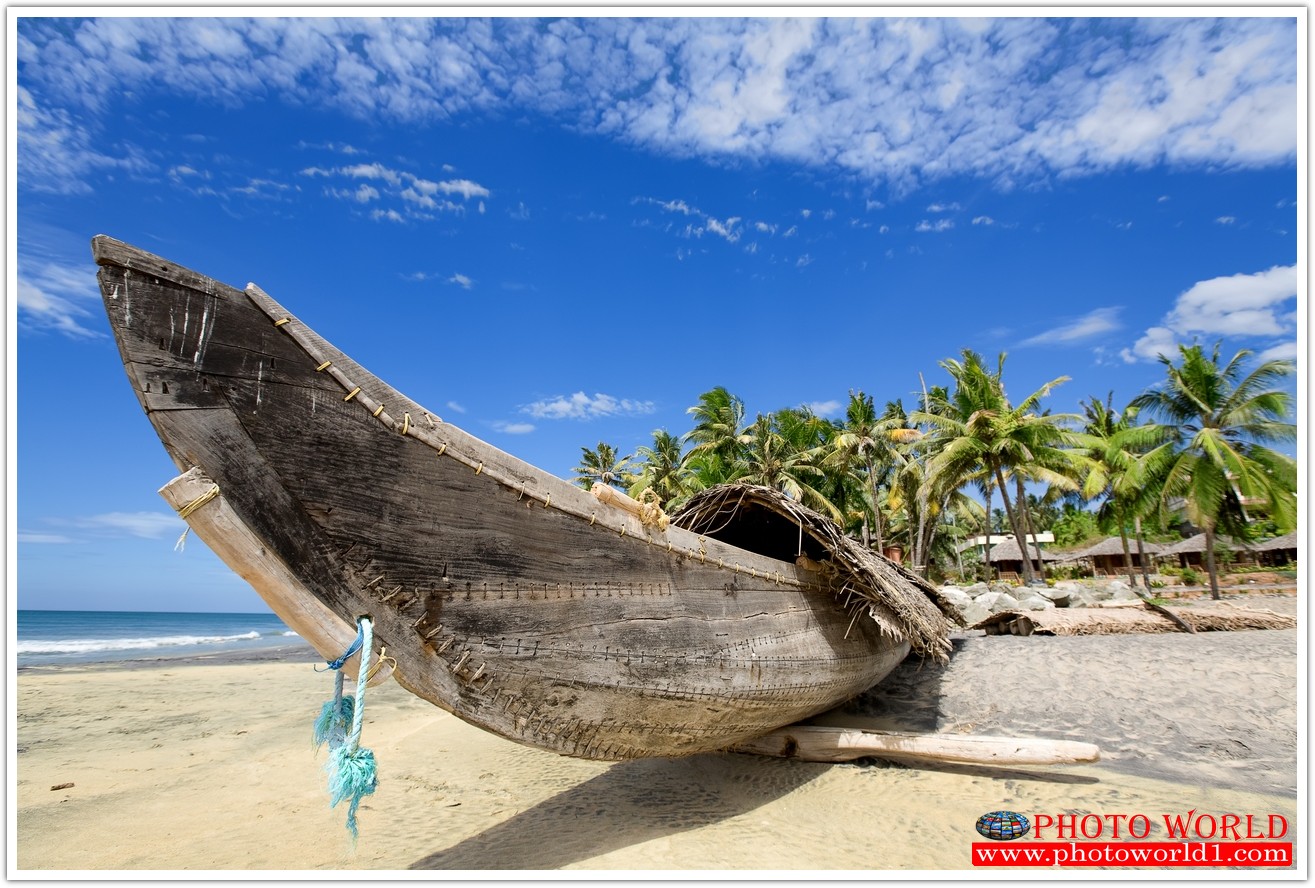 วอลเปเปอร์รูปภาพติดผนังสั่งทำ มีภาพให้เลือกกว่า 50,000 ภาพ ออกแบบกราฟฟิค หรือ รูปภาพตามที่ท่านกำหนด ในสไตล์ท่านเอง "custom made"