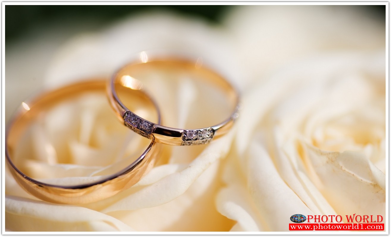 วอลเปเปอร์รูปภาพติดผนังสั่งทำ มีภาพให้เลือกกว่า 50,000 ภาพ ออกแบบกราฟฟิค หรือ รูปภาพตามที่ท่านกำหนด ในสไตล์ท่านเอง "custom made"