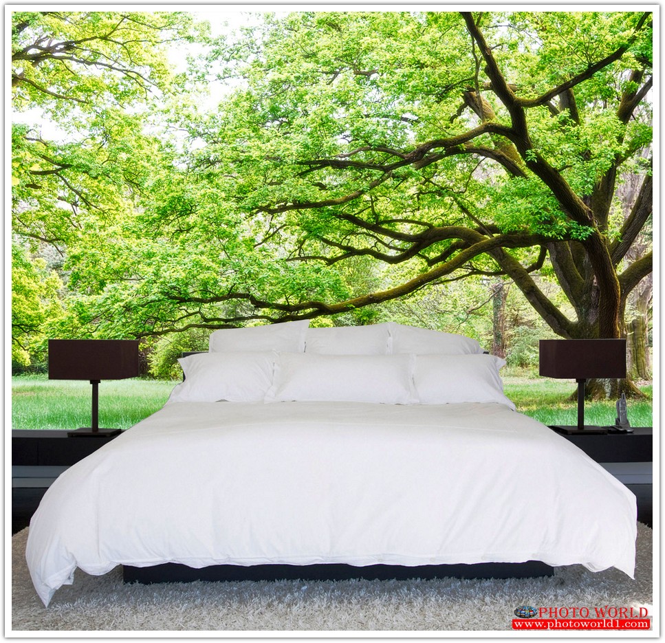 วอลเปเปอร์รูปภาพติดผนังสั่งทำ มีภาพให้เลือกกว่า 50,000 ภาพ ออกแบบกราฟฟิค หรือ รูปภาพตามที่ท่านกำหนด ในสไตล์ท่านเอง "custom made"