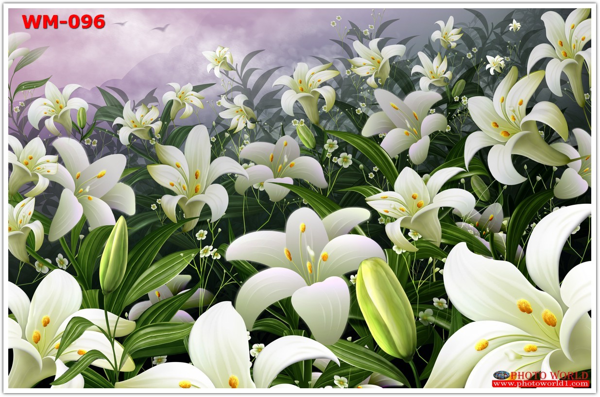 วอลเปเปอร์รูปภาพติดผนังสั่งทำ มีภาพให้เลือกกว่า 50,000 ภาพ ออกแบบกราฟฟิค หรือ รูปภาพตามที่ท่านกำหนด ในสไตล์ท่านเอง "custom made"